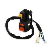 Starter and Kill Switch for ATV Bashan Quad 200cc (BS200S-7)