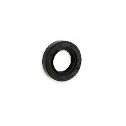 Water Pump Oil Seal for Shineray Parts ATV H2O 250 STIXE ST9E