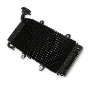 Radiator for Bashan Parts ATV 250cc BS250AS-43