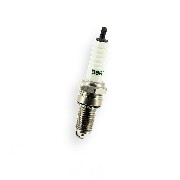 Stock Spark Plug for ATV Bashan Quad 250cc (BS250AS-43)