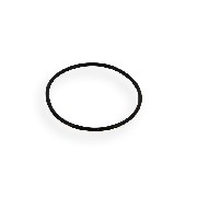 O-ring for the Body of the Water Pump ATV Bashan Quad 250cc (BS250S-11)