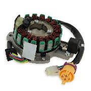 Complete Stator for ATV Bashan Quad 300cc (BS300S-18)