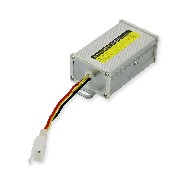 Transformer 60v 12v for Citycoco