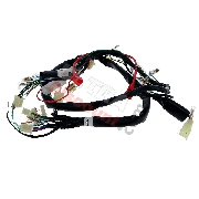 Wire Harness 36610-17H02 for Skymax 50cc 125cc (after 10-2015)