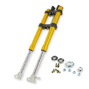 Complete Premium Front Fork for Dirt Bike - 845mm (for 12mm wheel axles)