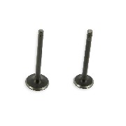 Set of Engine Valves for Dirt Bikes 125cc 1P54FMI