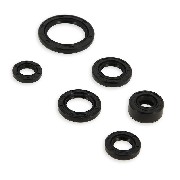 Set of Oil Seals for Dirt Bike Engine