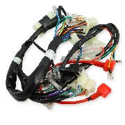 Wire Harness for Monkey - Gorilla Skyteam 50cc EURO4