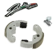 Zocchi Racing Shoe Kit for 2-shoe Clutch (CARBON-Gold)