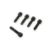 Pull starter fixing screw for Cross Pocket Bike 