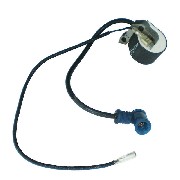 Ignition for Pocket Bike Polini 911 - Banshee SHO