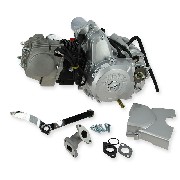Engine LIFAN 110cc with starter and reverse for Child ATV 1P52FMH (type2)