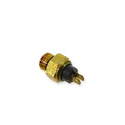 Fan Sensor Switch Spy Racing 250 F1