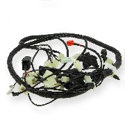 Wire Harness for ATV Spy Racing 250F3