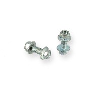 Pair of screws M8 20mm ATV Bigfoot