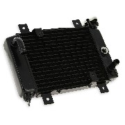 Radiator for ATV Quad 200cc (liquid-cooled)