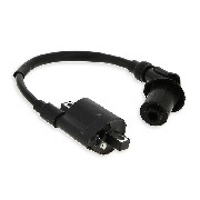 Ignition Coil for ATV Shineray Quad 200cc (XY200ST-6A)