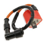 Ignition Coil for ATV Shineray Racing Quad 200cc STIIE - Red