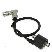 Ignition Coil for ATV Shineray Quad 200cc STIIE - STIIE-B