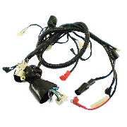 Wire Harness for ATV Shineray Quad 200cc STIIE