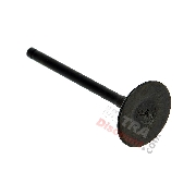 Intake Valve for ATV Shineray Quad 250cc ST-9C (Engine 172MM)