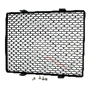 Cooling Radiator Guard for ATV Shineray Quad 250ST-9C
