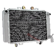 Radiator for ATV Shineray Racing Quad 250cc ST-9C