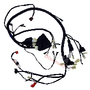 Wire Harness for ATV Shineray Quad  250ST-5