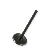 Intake Valve for ATV Shineray Quad 250cc ST-9E