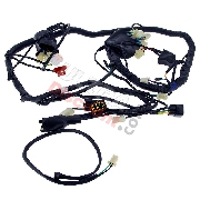 Wire Harness for ATV Shineray Quad 350cc (XY350ST-2E)