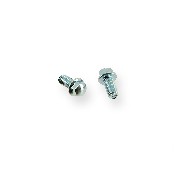 Pair of screws 6x12 ATV engin