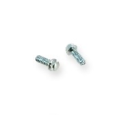 Pair of screws 6x16 ATV engin
