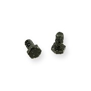 Pair of screws M10 20mm type2 for frame