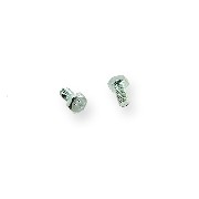 Pair of screws M6 12mm ATV engin