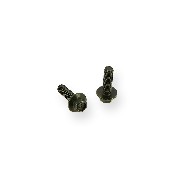 Pair of screws M6 20mm frame ATV