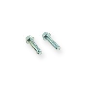 Pair of screws M6 22mm for engin