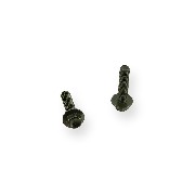 Pair of screws M6 25mm frame ATV