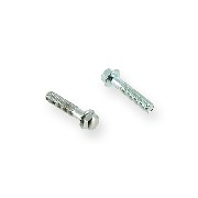 Pair of screws M6 28mm ATV engin