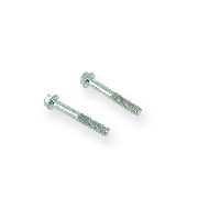 Pair of screws M6 40mm ATV engin