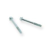 Pair of screws M6 50mm ATV engin