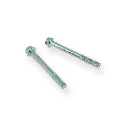 Pair of screws M6 55mm ATV engin