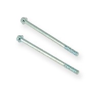 Pair of screws M6 95mm ATV engin