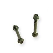 Pair of screws M8 55mm ATV frame