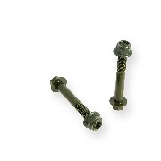 Pair of screws M8 60mm frame ATV