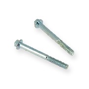 Pair of screws M8 80mm ATV engin