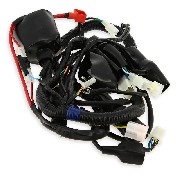 Wire Harness for ATV Shineray Quad 150cc (XY150STE)