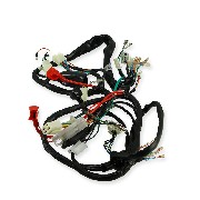 Wire Harness for Skyteam T-rex 50-125cc (after 08-2014)