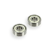 Pair of bearing for rear wheel hub for Skyteam T-REX