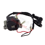 Stock Ignition for Motorized Scooter