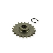 Gearbox Gear for Motorized Scooter (20)